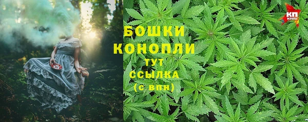 индика Армянск