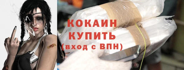 индика Армянск