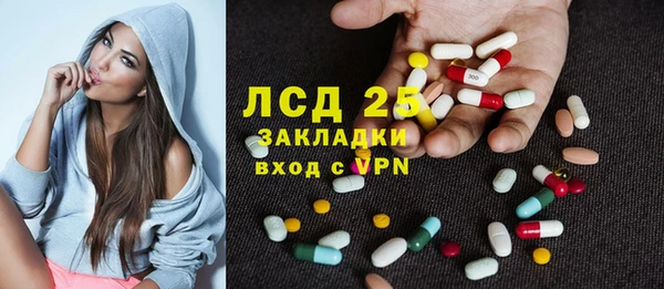 индика Армянск