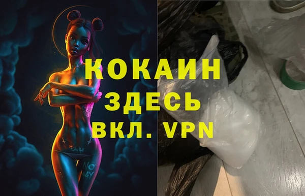 индика Армянск