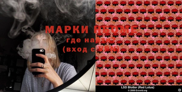 индика Армянск