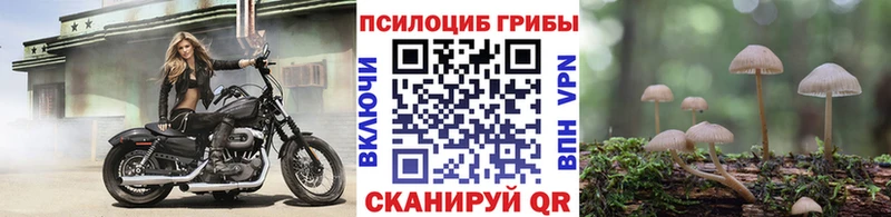 Галлюциногенные грибы мухоморы  Сясьстрой 